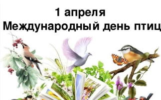 1 апреля - Международный день птиц! 1 апреля - Международный день птиц!.